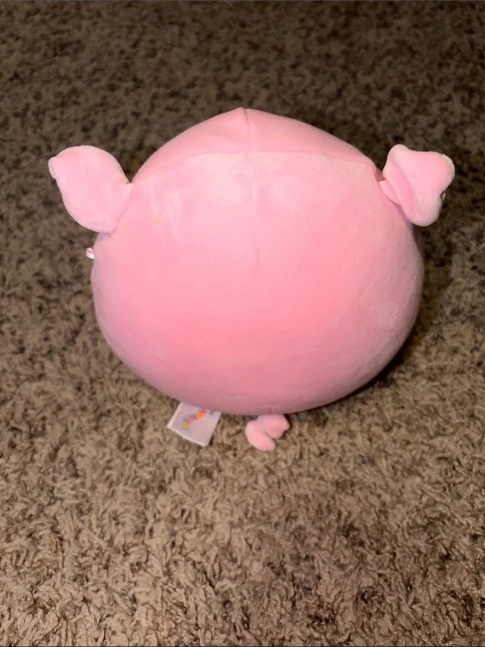 Squishmallows squishmallow pig
